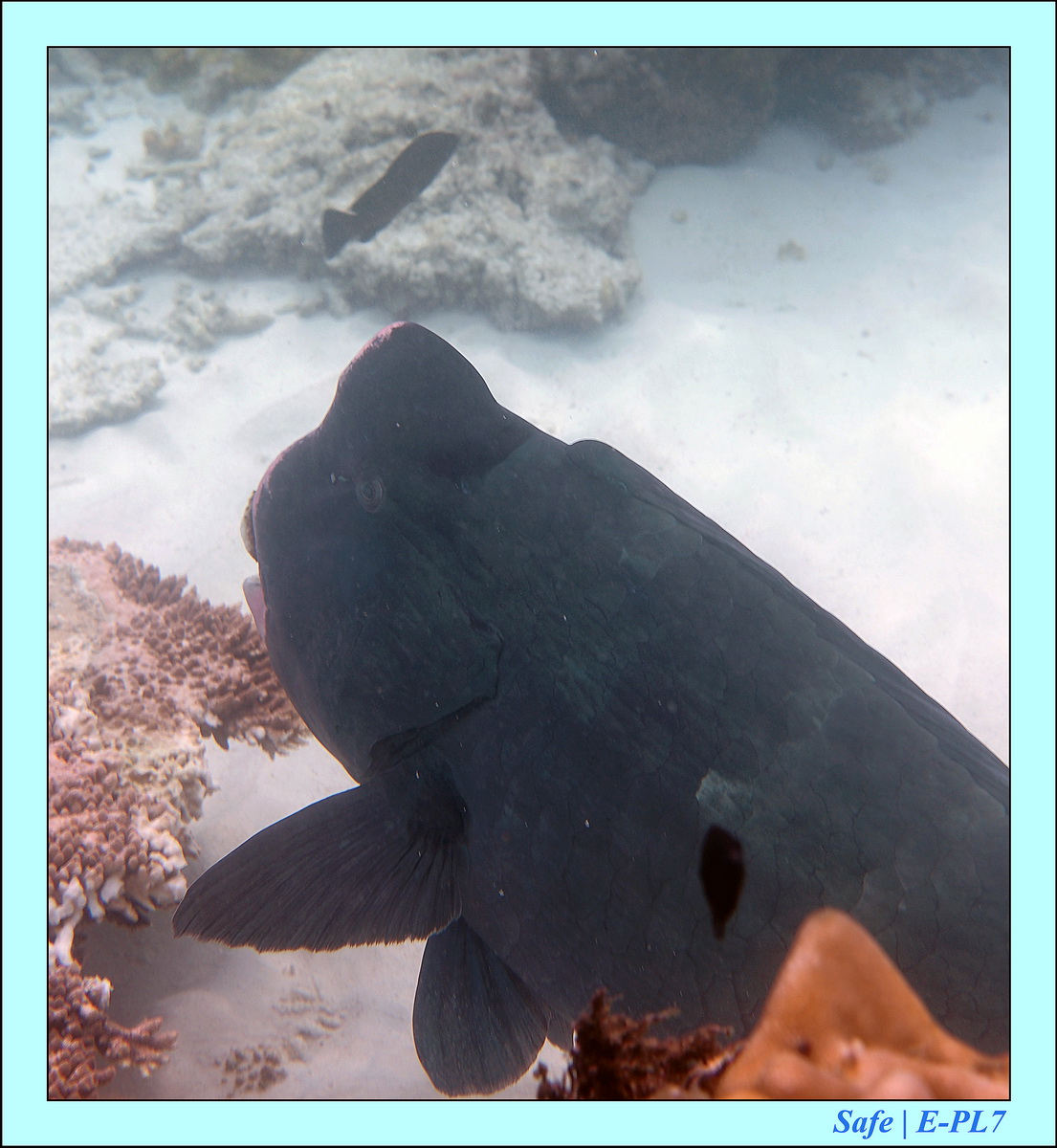 2015   07   Peranthian Islands 65